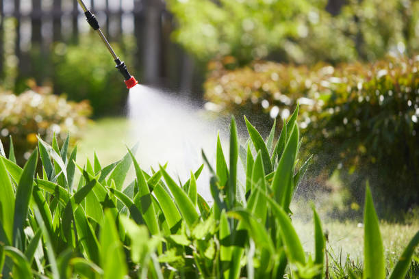 24/7 Emergency Termite Control experts in Kildeer, IL